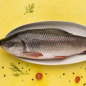 Live Rui Fish -Kg (2 kg+)